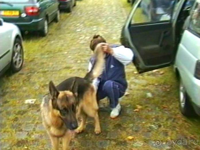 Зигер в Дюссельдорфе: Наш самый черный день…