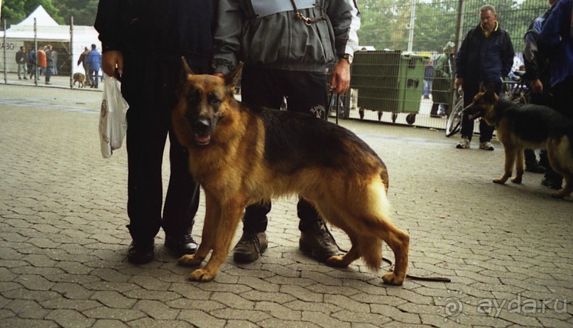 Зигер в Дюссельдорфе: Наш самый черный день…