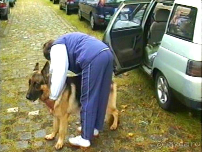 Зигер в Дюссельдорфе: Наш самый черный день…