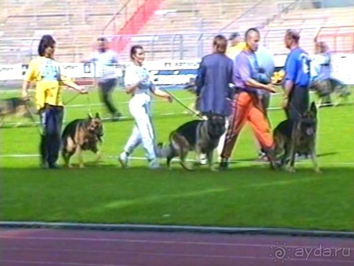 Поездка в Германию на автомобиле с немецкой овчаркой. Часть 6. Второй день Зигера в Карлсруэ