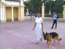 Поездка в Германию на автомобиле с немецкой овчаркой. Часть 6. Второй день Зигера в Карлсруэ