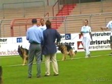 Поездка в Германию на автомобиле с немецкой овчаркой. Часть 6. Второй день Зигера в Карлсруэ