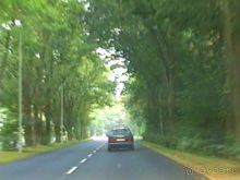 Поездка в Германию на автомобиле с немецкой овчаркой. Часть 6. Второй день Зигера в Карлсруэ