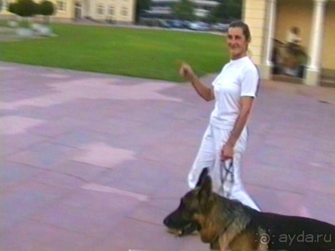 Поездка в Германию на автомобиле с немецкой овчаркой. Часть 6. Второй день Зигера в Карлсруэ