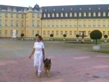 Поездка в Германию на автомобиле с немецкой овчаркой. Часть 6. Второй день Зигера в Карлсруэ