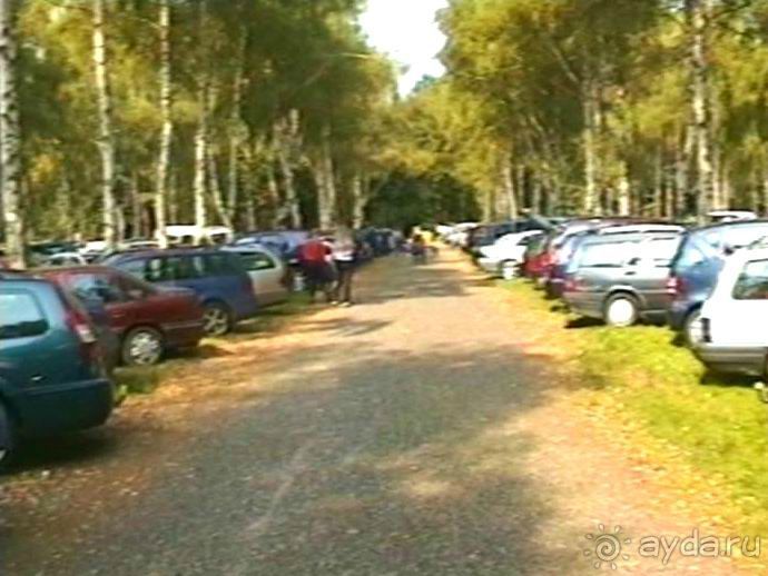 Поездка в Германию на автомобиле с немецкой овчаркой. Часть 6. Второй день Зигера в Карлсруэ