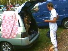 Поездка в Германию на автомобиле с немецкой овчаркой. Часть 6. Второй день Зигера в Карлсруэ