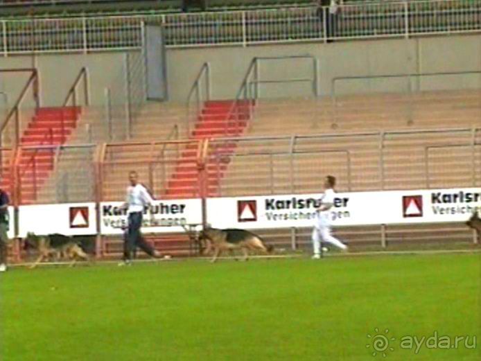 Поездка в Германию на автомобиле с немецкой овчаркой. Часть 6. Второй день Зигера в Карлсруэ