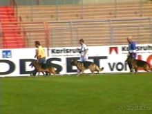 Поездка в Германию на автомобиле с немецкой овчаркой. Часть 6. Второй день Зигера в Карлсруэ