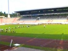 Поездка в Германию на автомобиле с немецкой овчаркой. Часть 6. Второй день Зигера в Карлсруэ