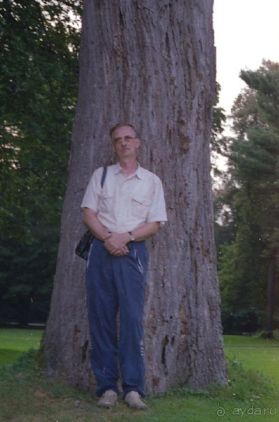 Поездка в Германию на автомобиле с немецкой овчаркой. Часть 6. Второй день Зигера в Карлсруэ