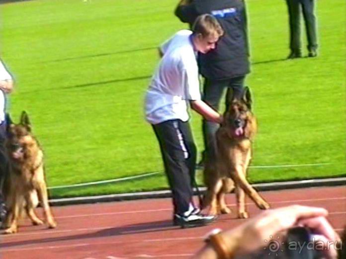 Поездка в Германию на автомобиле с немецкой овчаркой. Часть 6. Второй день Зигера в Карлсруэ