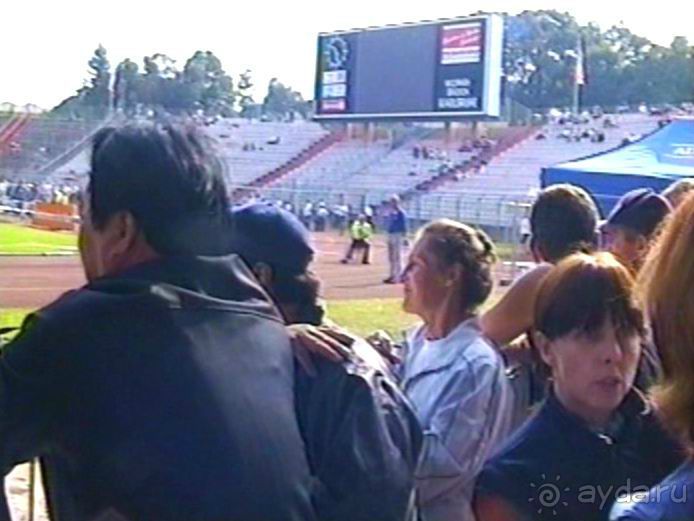 Поездка в Германию на автомобиле с немецкой овчаркой. Часть 6. Второй день Зигера в Карлсруэ