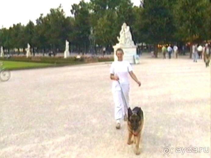 Поездка в Германию на автомобиле с немецкой овчаркой. Часть 6. Второй день Зигера в Карлсруэ