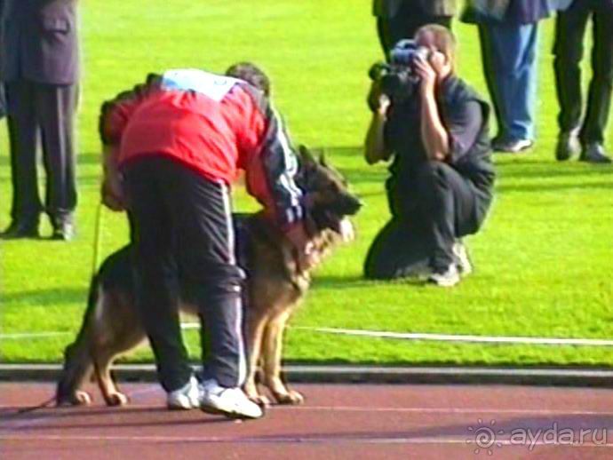 Поездка в Германию на автомобиле с немецкой овчаркой. Часть 6. Второй день Зигера в Карлсруэ