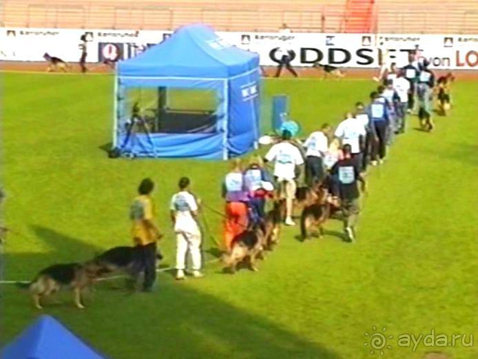 Поездка в Германию на автомобиле с немецкой овчаркой. Часть 6. Второй день Зигера в Карлсруэ