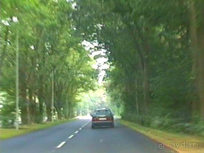 Поездка в Германию на автомобиле с немецкой овчаркой. Часть 6. Второй день Зигера в Карлсруэ