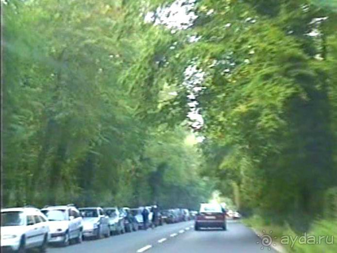 Поездка в Германию на автомобиле с немецкой овчаркой. Часть 6. Второй день Зигера в Карлсруэ