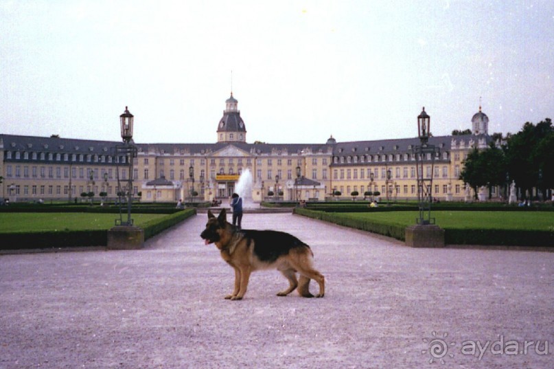 Поездка в Германию на автомобиле с немецкой овчаркой. Часть 6. Второй день Зигера в Карлсруэ