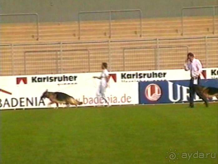 Поездка в Германию на автомобиле с немецкой овчаркой. Часть 6. Второй день Зигера в Карлсруэ