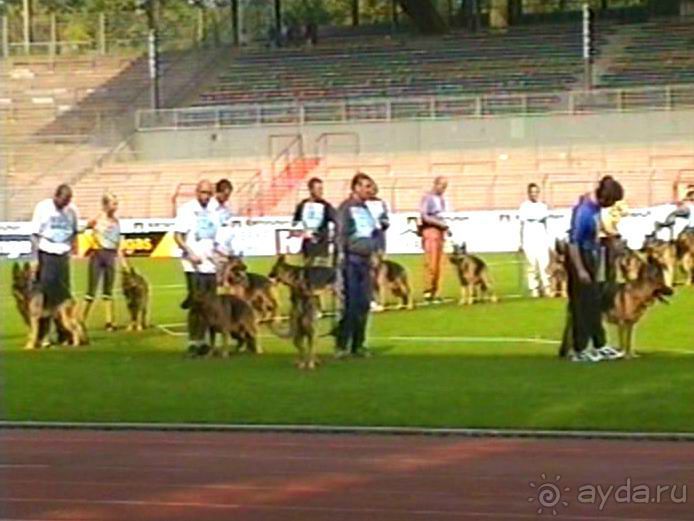 Поездка в Германию на автомобиле с немецкой овчаркой. Часть 6. Второй день Зигера в Карлсруэ