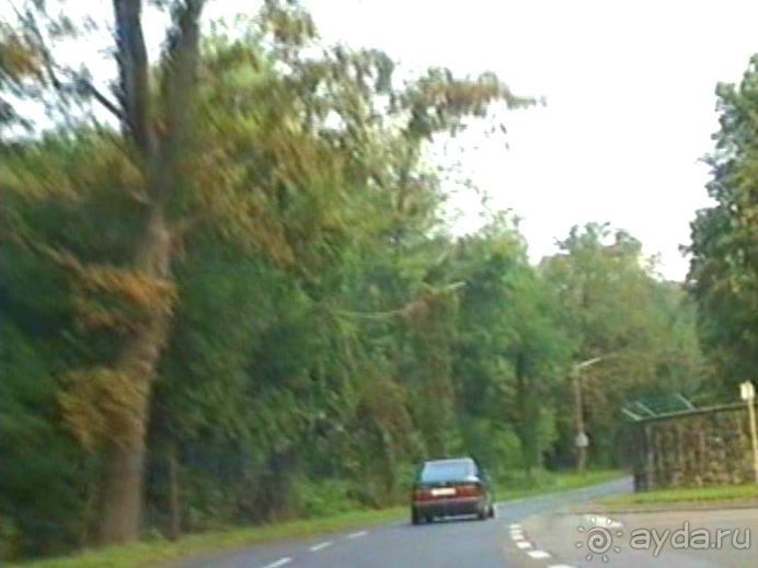 Поездка в Германию на автомобиле с немецкой овчаркой. Часть 6. Второй день Зигера в Карлсруэ