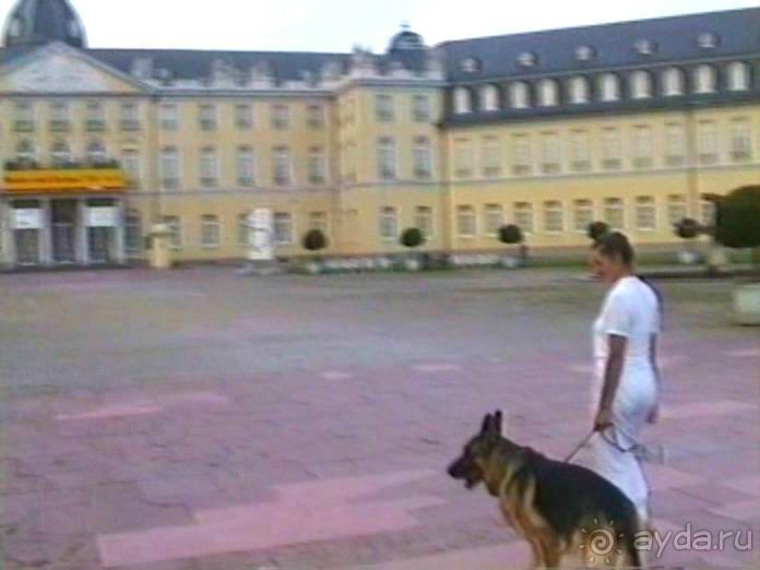 Поездка в Германию на автомобиле с немецкой овчаркой. Часть 6. Второй день Зигера в Карлсруэ