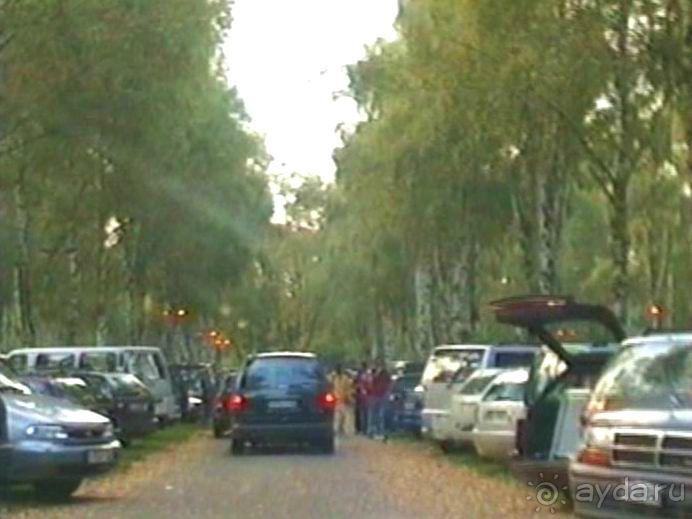 Поездка в Германию на автомобиле с немецкой овчаркой. Часть 6. Второй день Зигера в Карлсруэ