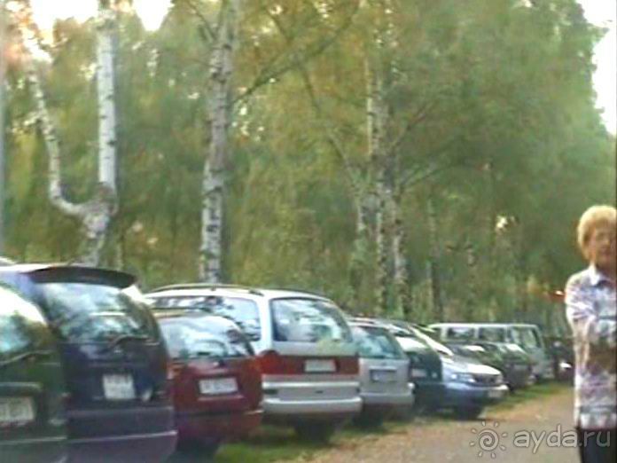 Поездка в Германию на автомобиле с немецкой овчаркой. Часть 6. Второй день Зигера в Карлсруэ