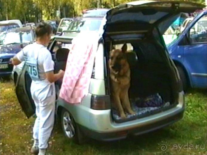 Поездка в Германию на автомобиле с немецкой овчаркой. Часть 6. Второй день Зигера в Карлсруэ