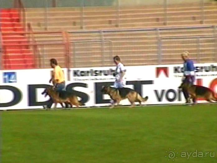 Поездка в Германию на автомобиле с немецкой овчаркой. Часть 6. Второй день Зигера в Карлсруэ