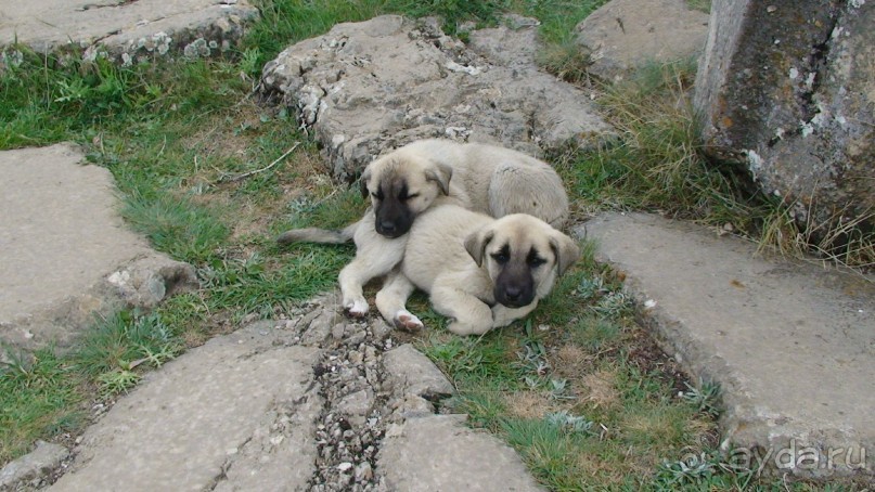 По следам Древних Цивилизаций в Турции: Хаттуса – столица Хеттского государства