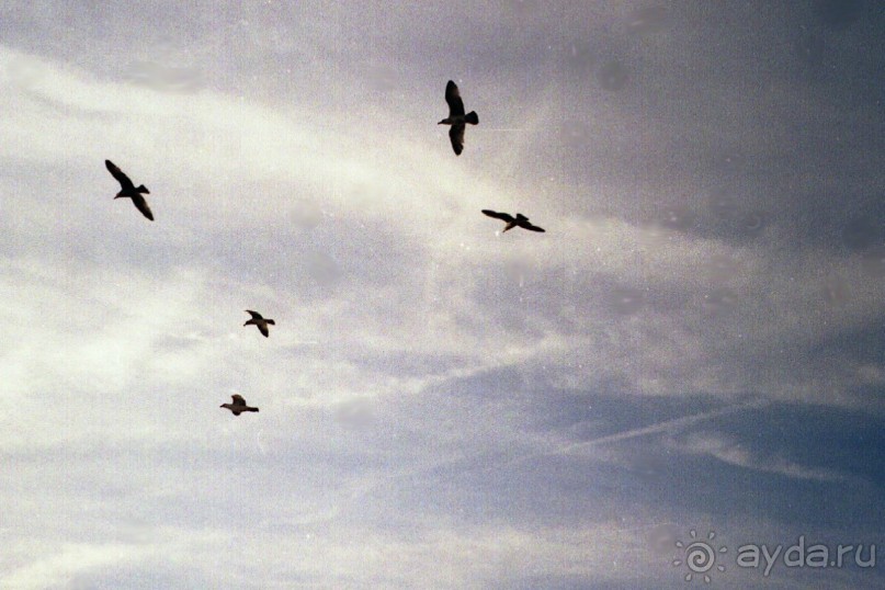 По Бельгии и Франции на пути в Великобританию