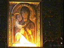 Альбом отзыва "Пиза и Фьюджи"