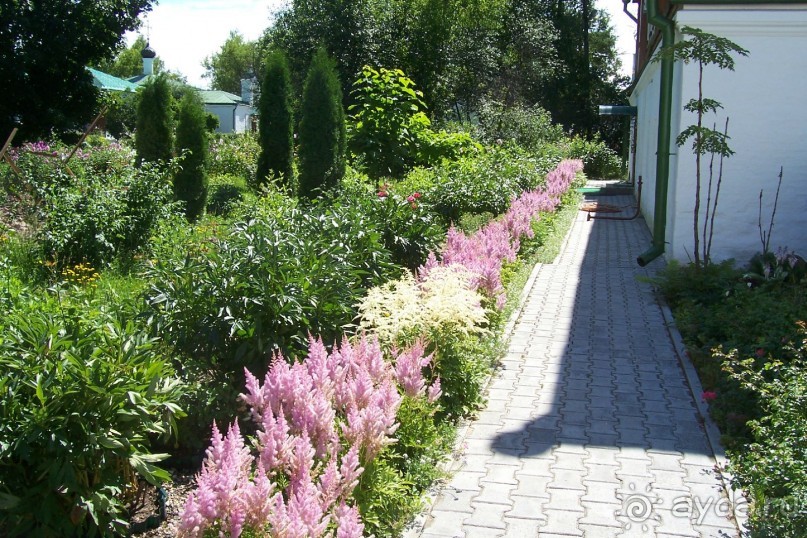 Владимирская область: Александров