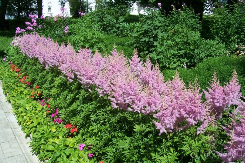 Владимирская область: Александров