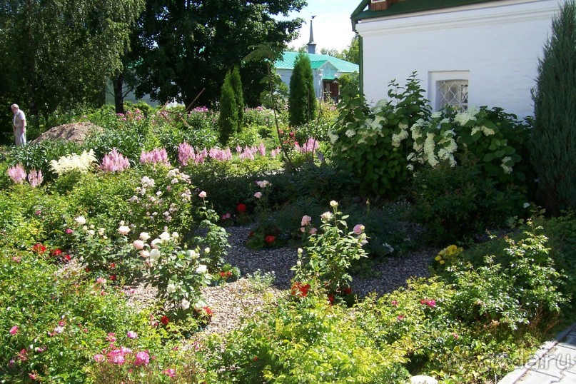 Владимирская область: Александров