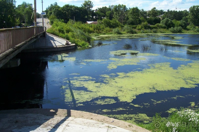 Владимирская область: Александров