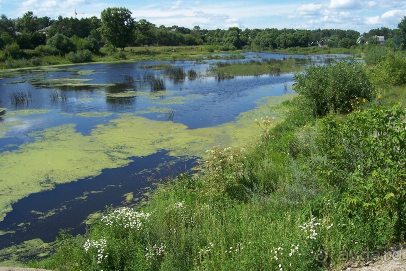 Владимирская область: Александров