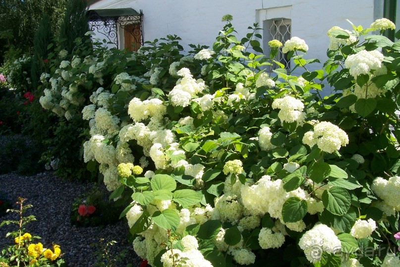 Владимирская область: Александров