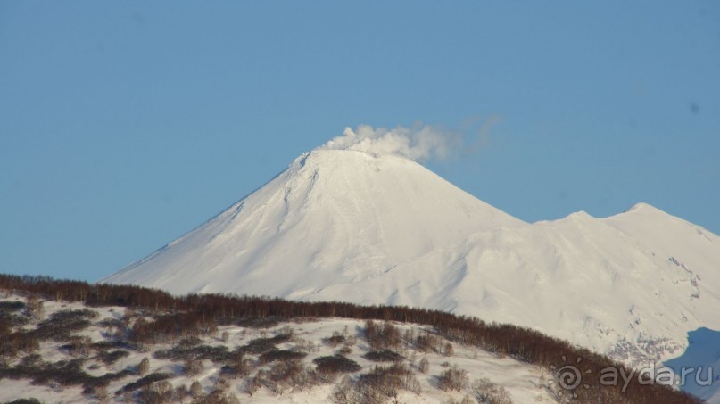 Стоят вулканы — там и тут!