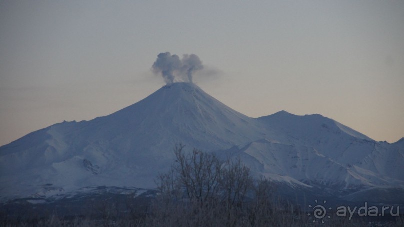 Стоят вулканы — там и тут!