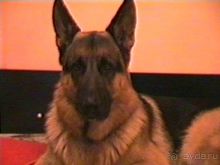 Вторая поездка в Германию на автомобиле: Белоруссия и Польша