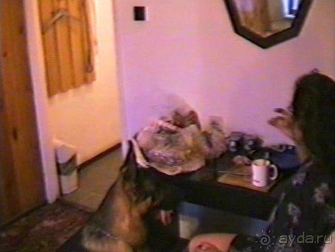 Вторая поездка в Германию на автомобиле: Белоруссия и Польша