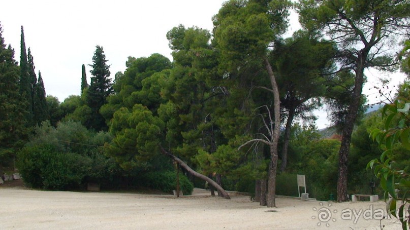 Греция часть 6: Святилище Асклепия и античный театр Эпидавра