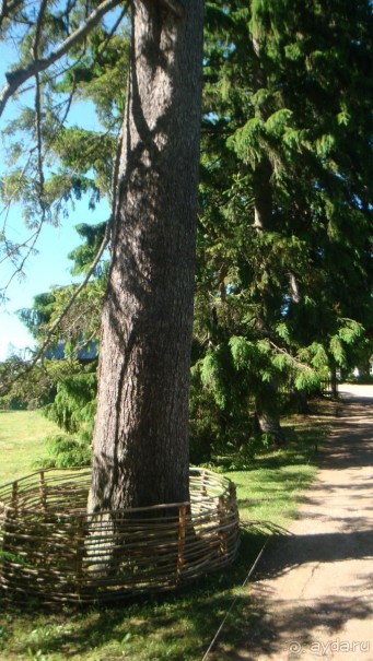 В Михайловское по Пушкинским местам