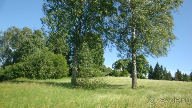 В Михайловское по Пушкинским местам
