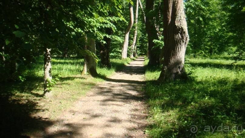 В Михайловское по Пушкинским местам