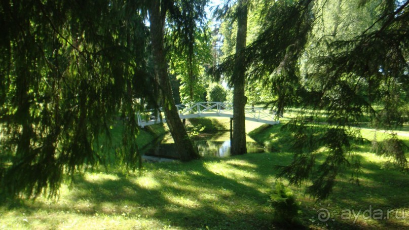 В Михайловское по Пушкинским местам