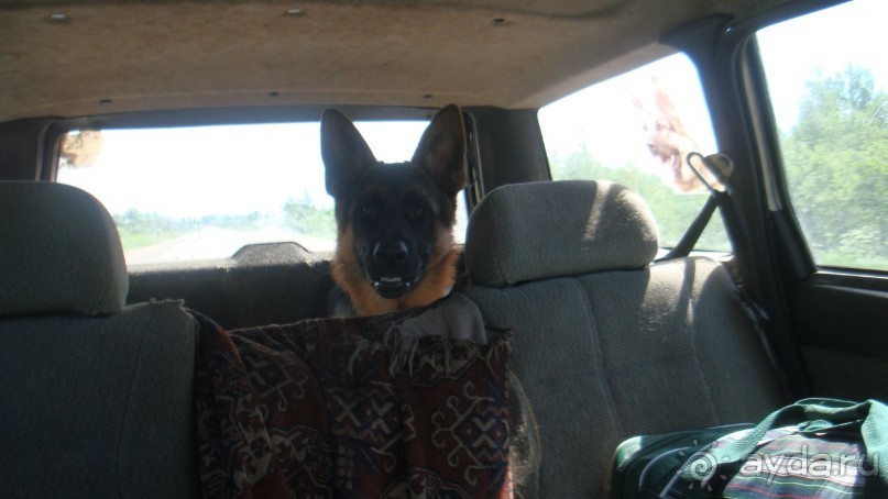 В Михайловское по Пушкинским местам